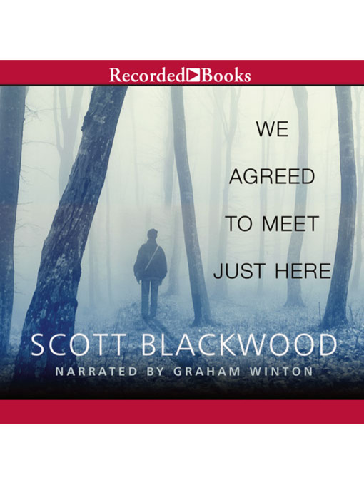 Title details for We Agreed to Meet Just Here by Scott Blackwood - Wait list